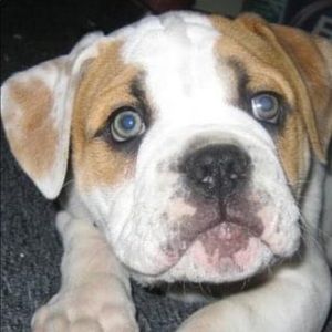 Meet your Posher, Carlyn